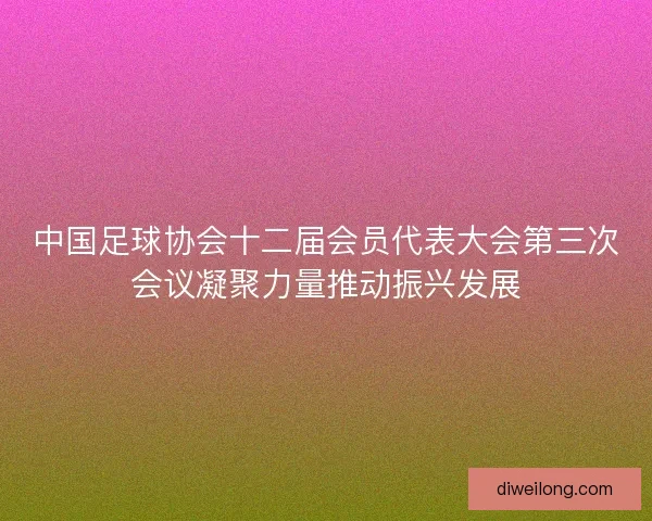 中国足球协会十二届会员代表大会第三次会议凝聚力量推动振兴发展 中国足球协会十二届会员代表大会第三次会议凝聚力量推动振兴发展