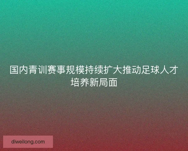 国内青训赛事规模持续扩大推动足球人才培养新局面