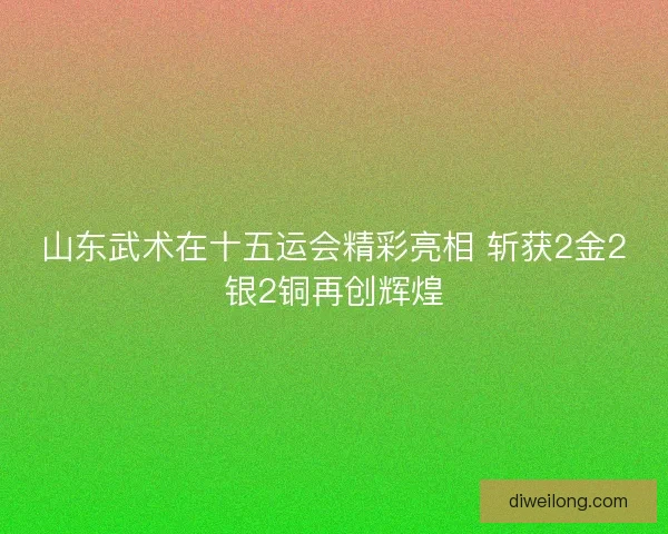 山东武术在十五运会精彩亮相 斩获2金2银2铜再创辉煌